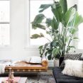 Living Room Plants_bamboo_plant_decoration_in_living_room_real_plants_for_living_room_artificial_tree_for_living_room_ Home Design Living Room Plants