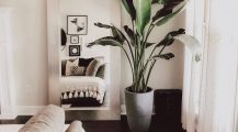 Living Room Plants_fake_plants_for_living_room_tall_plants_for_living_room_bamboo_plant_decoration_in_living_room_ Home Design Living Room Plants