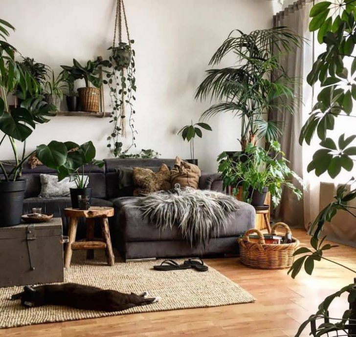 Living Room Plants_tall_plants_for_living_room_plant_living_room_ideas_fake_plants_for_living_room_ Home Design Living Room Plants