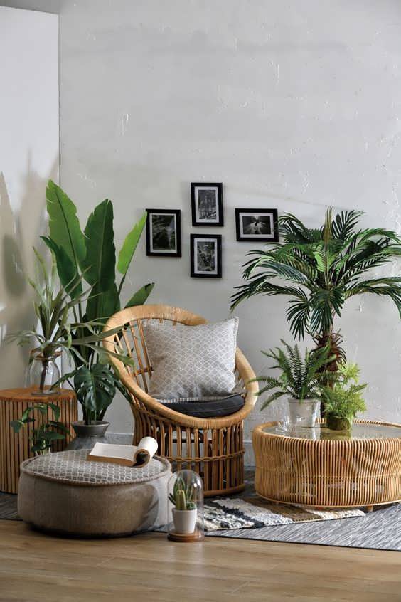 Living Room Plants_tall_artificial_plants_for_living_room_living_room_tree_bamboo_plant_decoration_in_living_room_ Home Design Living Room Plants