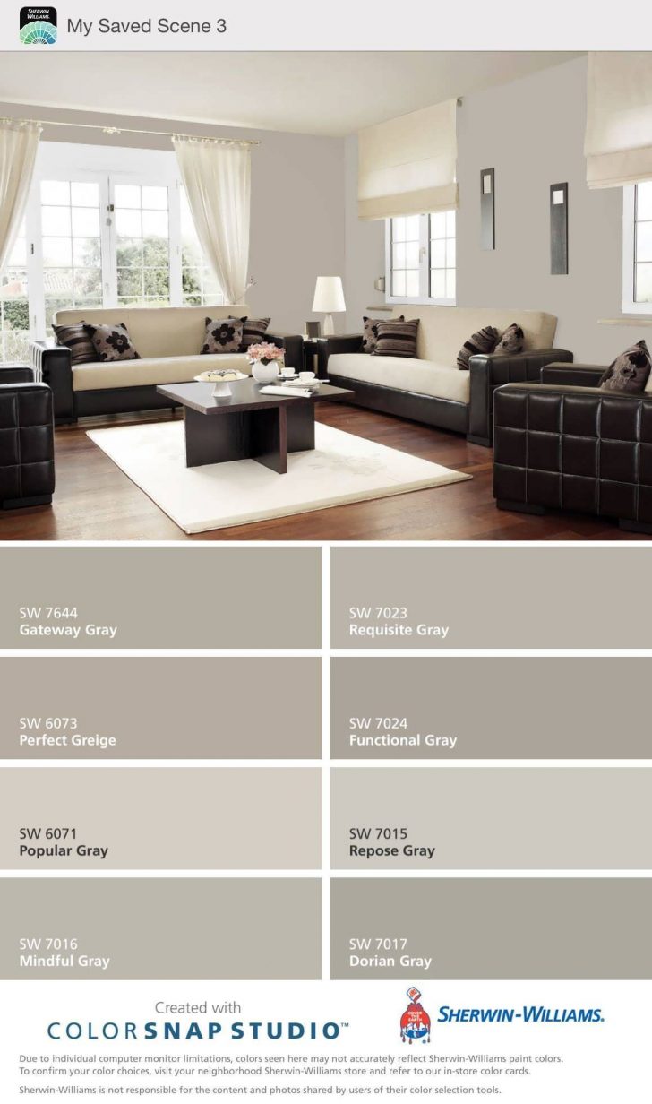 Paint Ideas For Living Room_drawing_room_colour_combination_living_room_colours_living_room_color_schemes_ Home Design Paint Ideas For Living Room